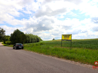 Działka inna Rożyńsk Wielki