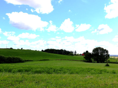 Działka budowlana Olszanka