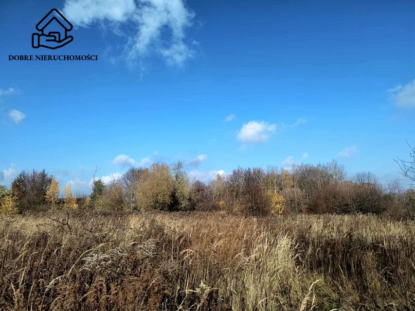 Działka budowlano-rolna Dys