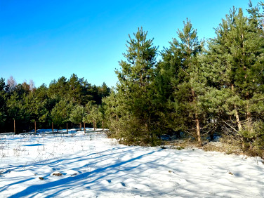 Działka budowlana Obrowo