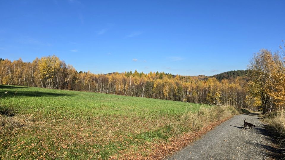 Działka Biały Kościół