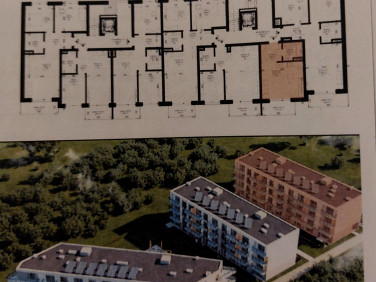 Mieszkanie apartamentowiec Ciechocinek