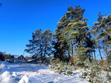 Działka Biały Bór