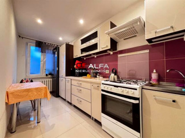 Mieszkanie Świdnica