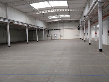 Budynek użytkowy Katowice wynajem