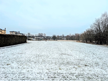 Działka budowlana Wodzisław Śląski