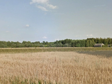 Działka rolna Korabiewice