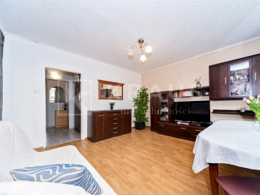 Mieszkanie Bielsko-Biała sprzedaż