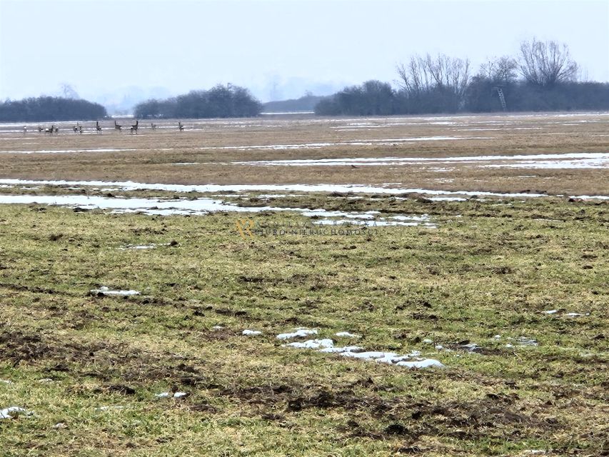 Działka rolna Wietrzychowice