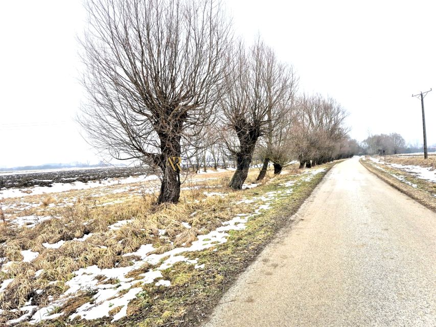 Działka rolna Wietrzychowice