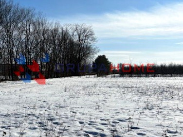 Działka siedliskowa Prażmów