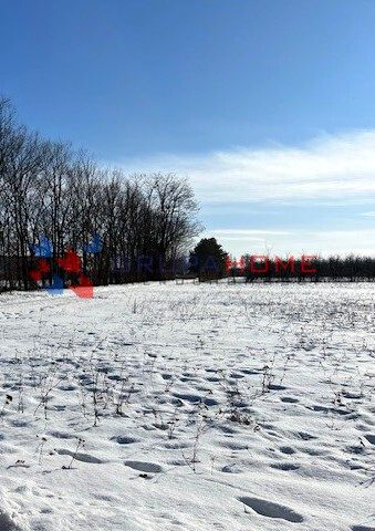 Działka siedliskowa Prażmów