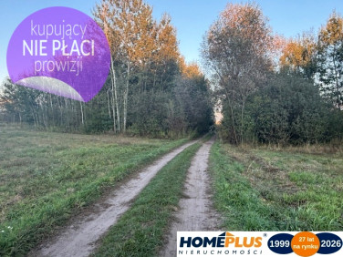 Działka rolna Stary Kraszew