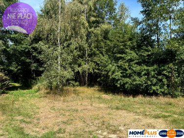 Działka Ludwinów