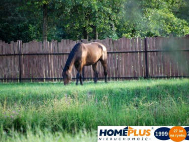 Działka Nowe Załubice