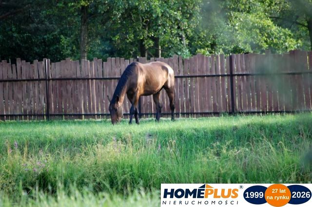Działka Nowe Załubice