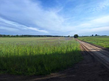 Działka budowlana sprzedam