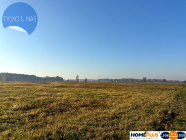 Działka rolna Nowe Załubice