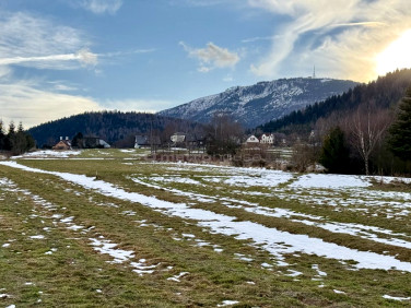 Działka budowlana Buczkowice