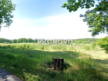 Działka rolna Cieszyno