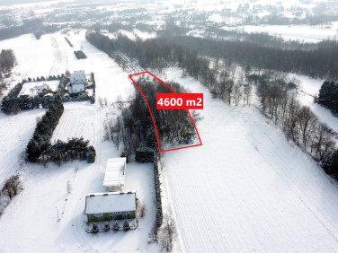 Działka siedliskowa Kraczkowa