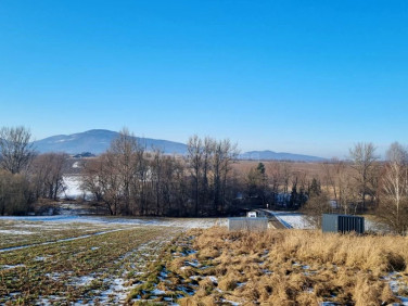 Działka budowlana Pietrzykowice