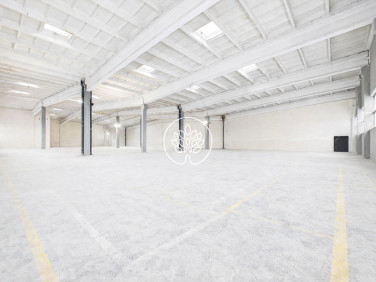 Budynek użytkowy Toruń wynajem