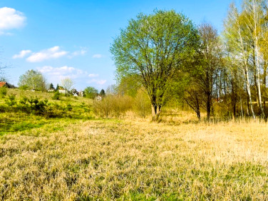 Działka budowlana Charzykowy