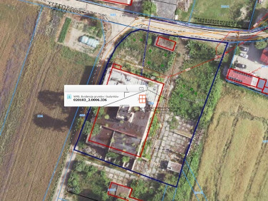 Ogrodzona działka Osła