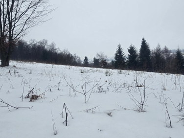 Działka siedliskowa Podchybie sprzedam