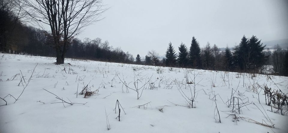 Działka siedliskowa Podchybie sprzedam