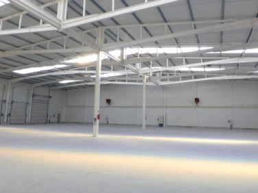 Budynek użytkowy Szczecin