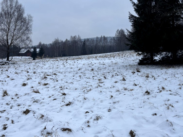 Działka budowlano-rolna Świeradów-Zdrój