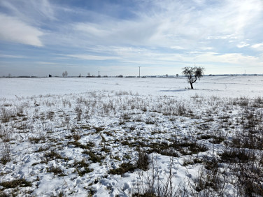 Pusta działka Bogucin