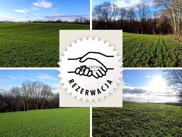 Działka inna Gościno-Dwór