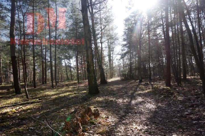 Działka budowlana Józefów