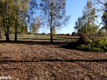 Działka budowlana Stare Babice