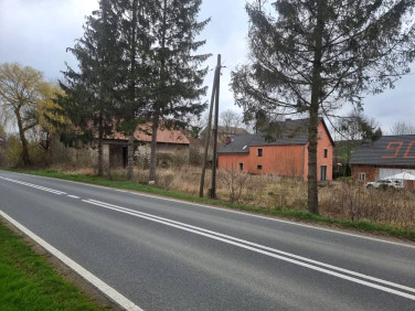 Działka siedliskowa Niedźwiednik