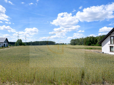 Działka budowlana Banino