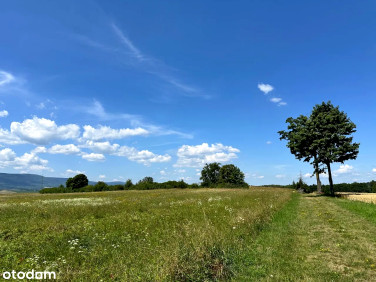 Działka budowlana Mielnik