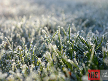 Działka budowlana Joniec