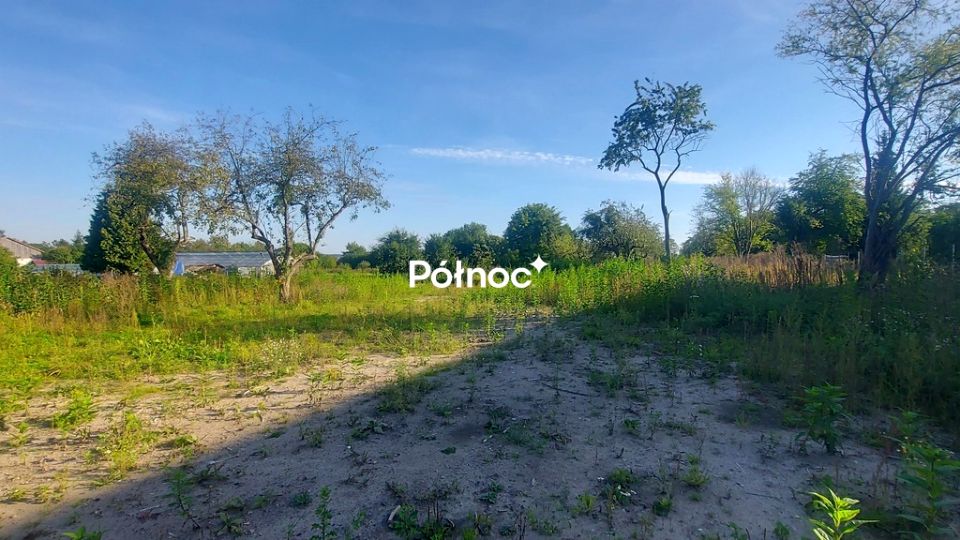 Zdjęcie 3