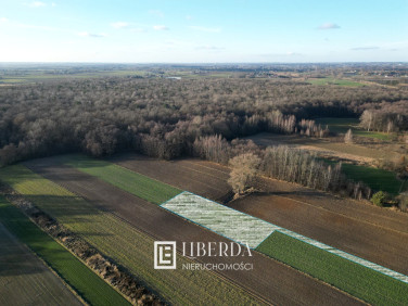 Działka Motycz Leśny