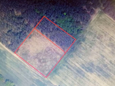 Działka Studzieniec