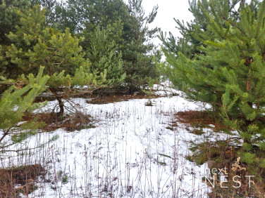 Działka budowlana Ławki