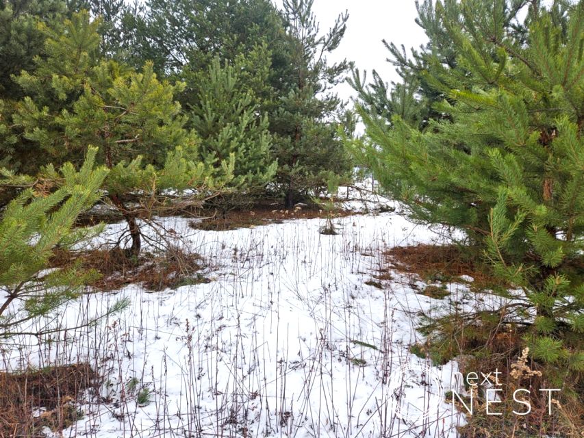 Działka budowlana Ławki