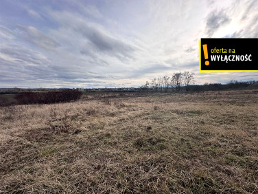 Działka usługowa Racibórz