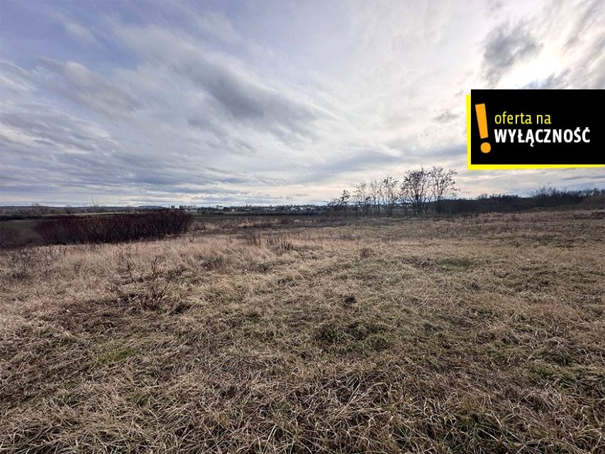 Działka usługowa Racibórz