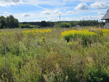 Działka budowlana Nowe Dąbie
