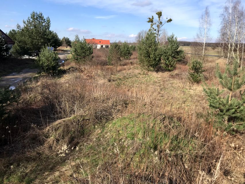 Działka budowlana Siedlce